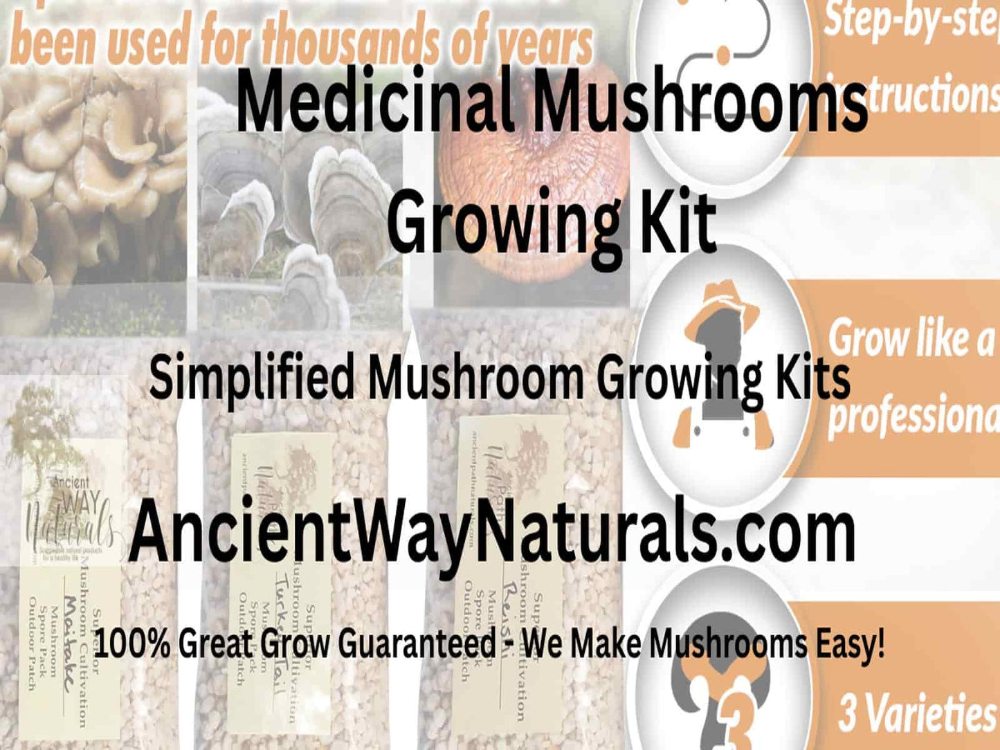 Info image for Medicinal Mushrooms Growing Kit showing Reishi, Turkey Tail and Maitake