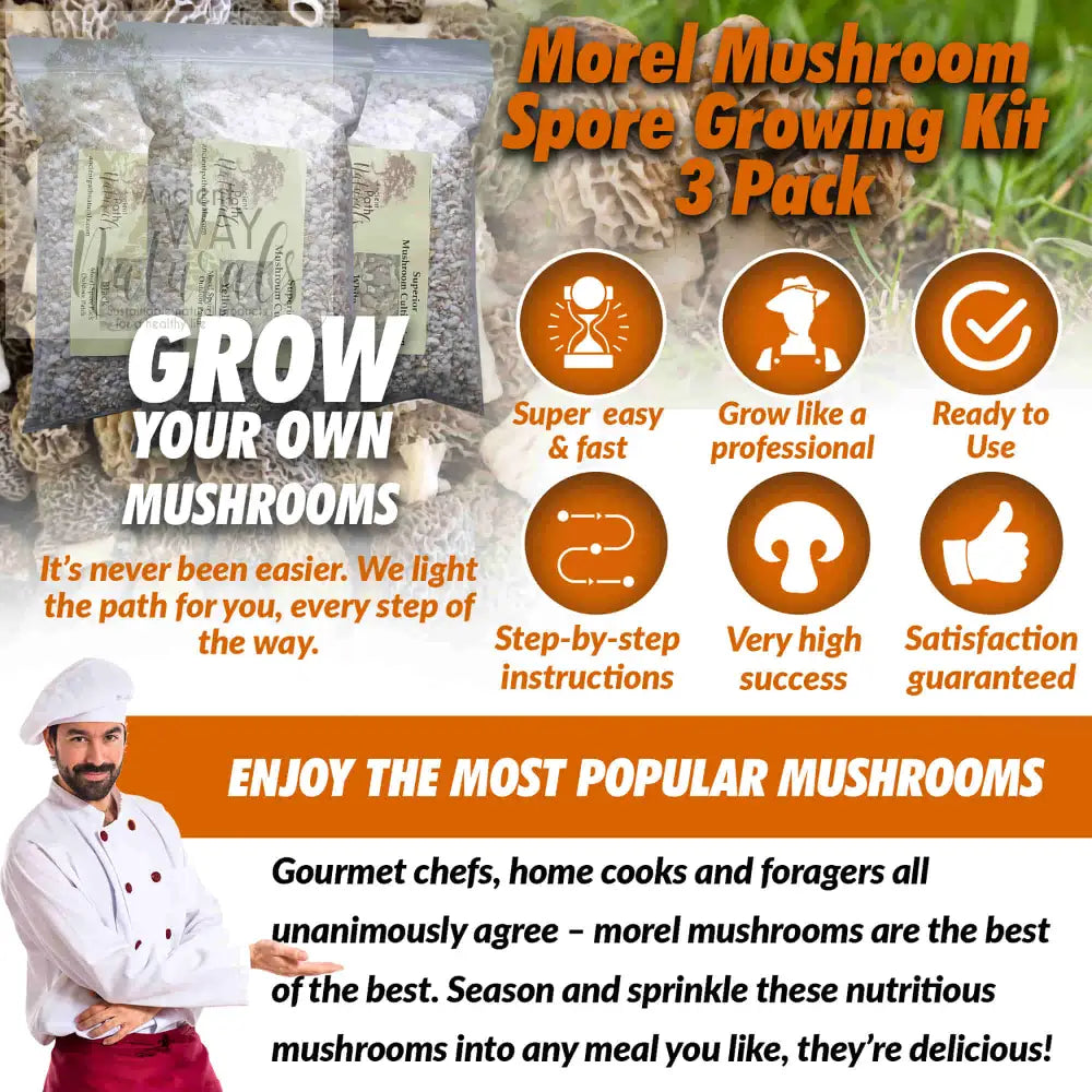 Morel Mushroom Spores Growing Kit 3 pack product info main image