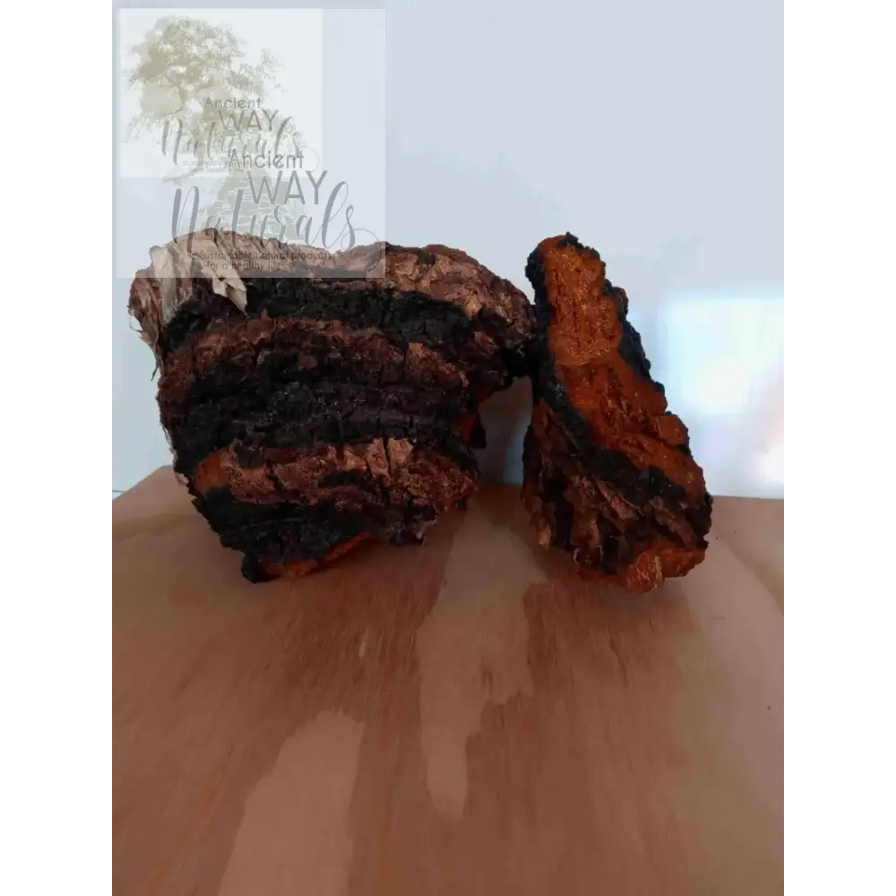 Large chucks of Chaga Mushroom dried and ready for packaging. 