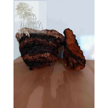 Large chucks of Chaga Mushroom dried and ready for packaging. 