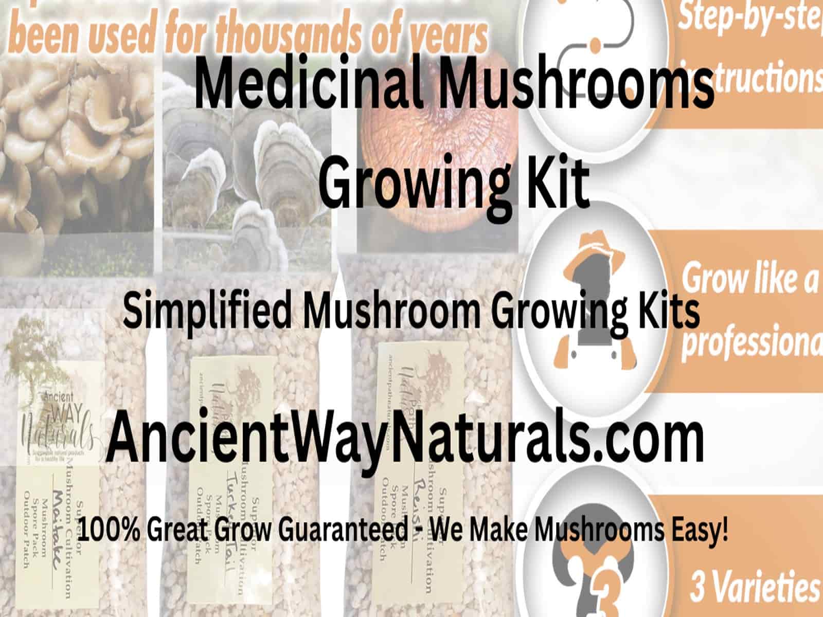 Info image for Medicinal Mushrooms Growing Kit showing Reishi, Turkey Tail and Maitake