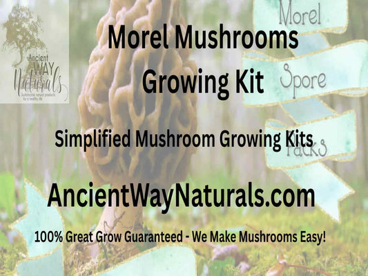 3 Pack Morel Mushroom Spores - Outdoor Morel Mushroom Growing Kit - Morel Grow Kit