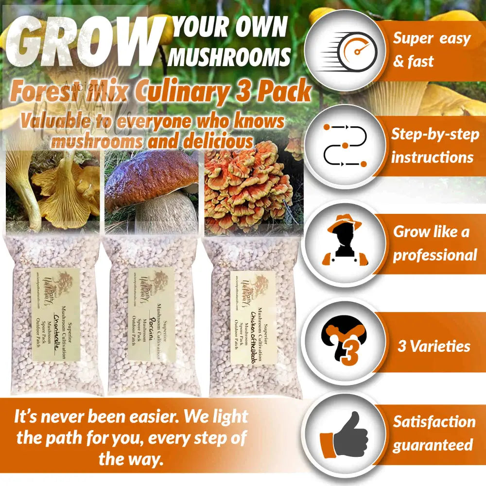 Chanterelle, Porcini and Chicken of the Woods Mushrooms growing kit main info image